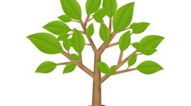 Timeline: CONFERENCIAS