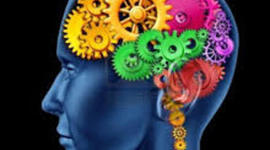 Timeline: El pensamiento de lo humano