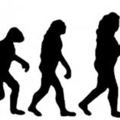 Timeline: HUMANIZACIÓN