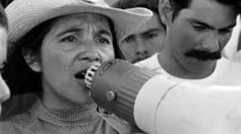 Timeline: Dolores Huerta by Matthew Smith