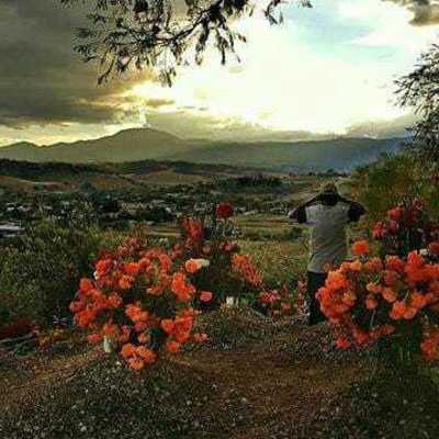 Timeline: Santiago Suchilquitongo across time. Student´s name: Bautista Martinez Zurizadai, Castellanos Gonzalez Aldo Gadiel, Cruz Ruiz Amanda Valeria, Hernandez Lopez Jean Didier, Ramos Antonio Brayan, Rodríguez Santaella Gema Rubi. Group: 301