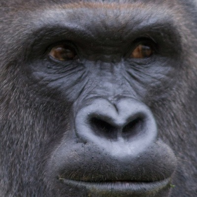 Timeline: World Geography Western Europe Timeline