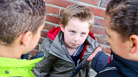 Timeline: BULLYING EN LA NIÑES