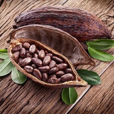 Timeline: Historia del cacao