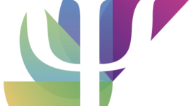 Timeline: Cronología