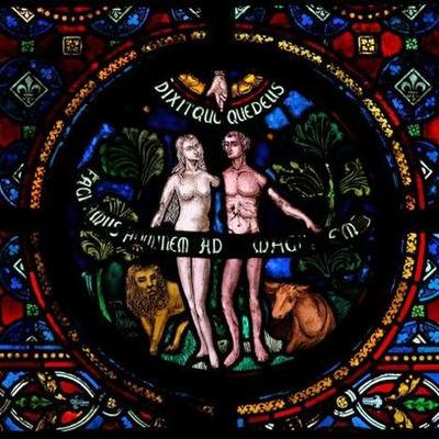 Timeline: teorías de la evolución