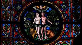 Timeline: teorías de la evolución