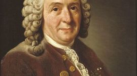 Timeline: Карл Линней