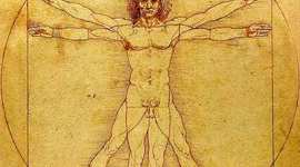 Timeline: Stages of Life