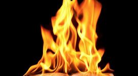 Timeline: Book Burning in America - This timeline takes you through five book-burning events in America.  You will find that religion, government, and protests can often be at the center of them.