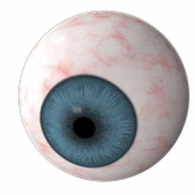 Timeline: DESARROLLO EMBRIONARIO DEL OJO HUMANO.