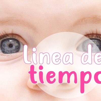 Timeline: Desarrollo embrionario del globo ocular.