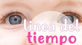 Timeline: Desarrollo embrionario del globo ocular.