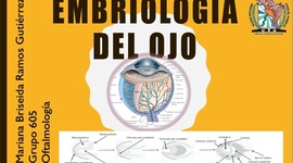 Timeline: EMBRIOLOGÍA DEL OJO