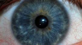 Timeline: DESARROLLO DEL SISTEMA VISUAL HUMANO