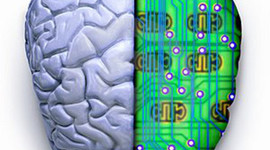 Timeline: Evolucion del procesamiento