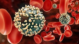 Timeline: origen y evolucion del VIH