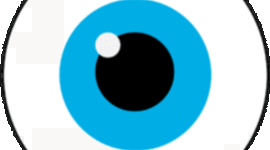 Timeline: Embriologia del ojo humano