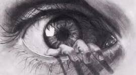 Timeline: Desarrollo embriológico humano