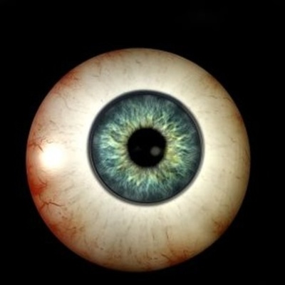 Timeline: Desarrollo Embiologico Visual