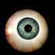 Globo ocular 21138666