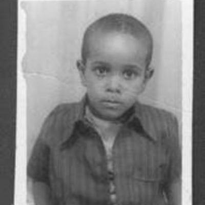 Timeline: Of Beetles and Angels