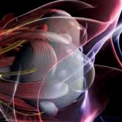 Timeline: DESARROLLO EMBRIOLOGICO DEL OJO HUMANO. Violeta Cortez Gonzalez