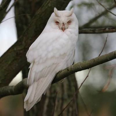 Timeline: sfzefezfez