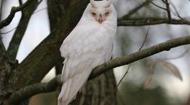 Timeline: sfzefezfez