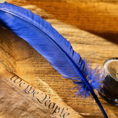 Timeline: Начало читательского года с 25 мая по 31 августа 2017 года