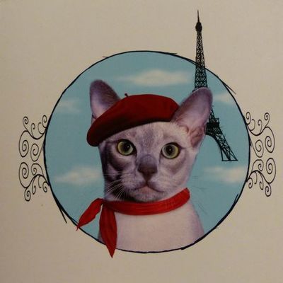 Timeline: La vie de Satì