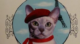 Timeline: La vie de Satì