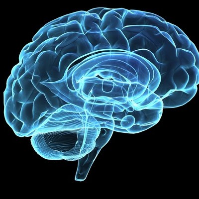 Timeline: Cronología psicología