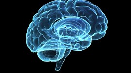 Timeline: Cronología psicología