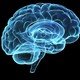 Cerebro