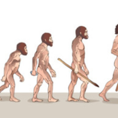 Timeline: EVOLUCIÓN