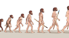 Timeline: EVOLUCIÓN