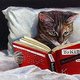 Reading cat