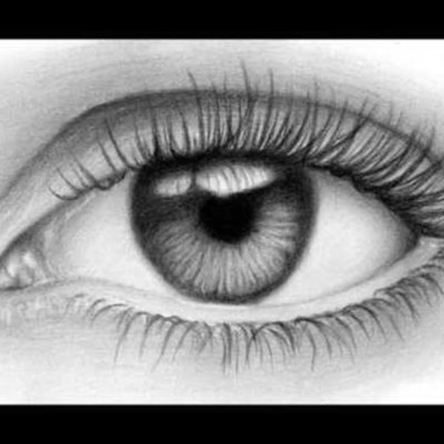 Timeline: Desarrollo embriológico del ojo humano