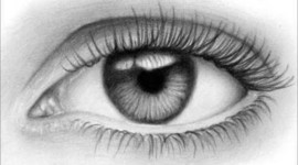 Timeline: Desarrollo embriológico del ojo humano