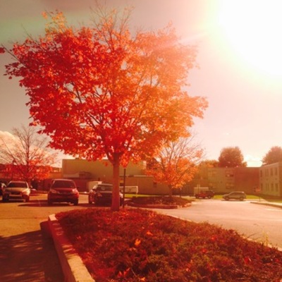 Timeline: Deadly Tsunamis-Shannon and Reuben