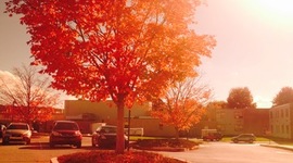 Timeline: Deadly Tsunamis-Shannon and Reuben