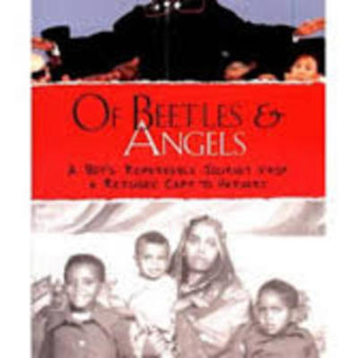 Timeline: Of Beetles & Angels