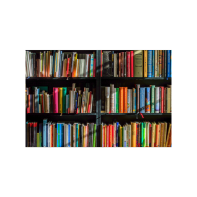 Timeline: Erika's Reading History