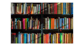 Timeline: Erika's Reading History