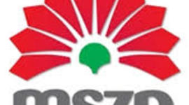 Timeline: Magyar Szocialista Párt