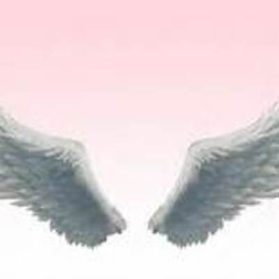 Timeline: Looks like a beetle, may actually be an Angel