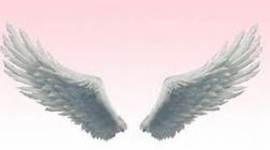 Timeline: Looks like a beetle, may actually be an Angel