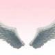 Angel wings