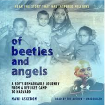 Timeline: Of Beetles & Angels Timeline
